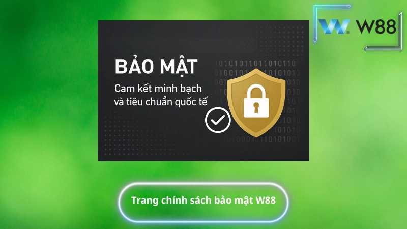 Trang Chính Sách Bảo Mật W88 với giao diện chuẩn quốc tế