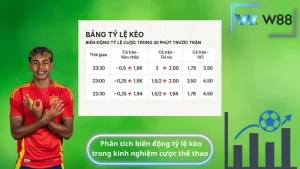 Phân tích biến động tỷ lệ kèo trong kinh nghiệm cược thể thao